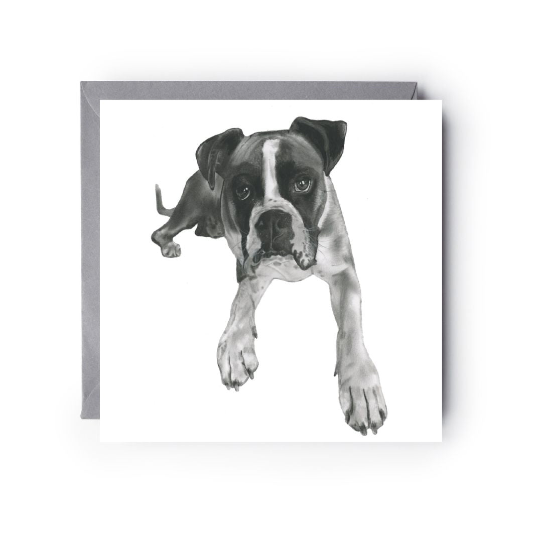 A Hand Drawn Boxer Dog Greeting Card From Libra Fine Arts 