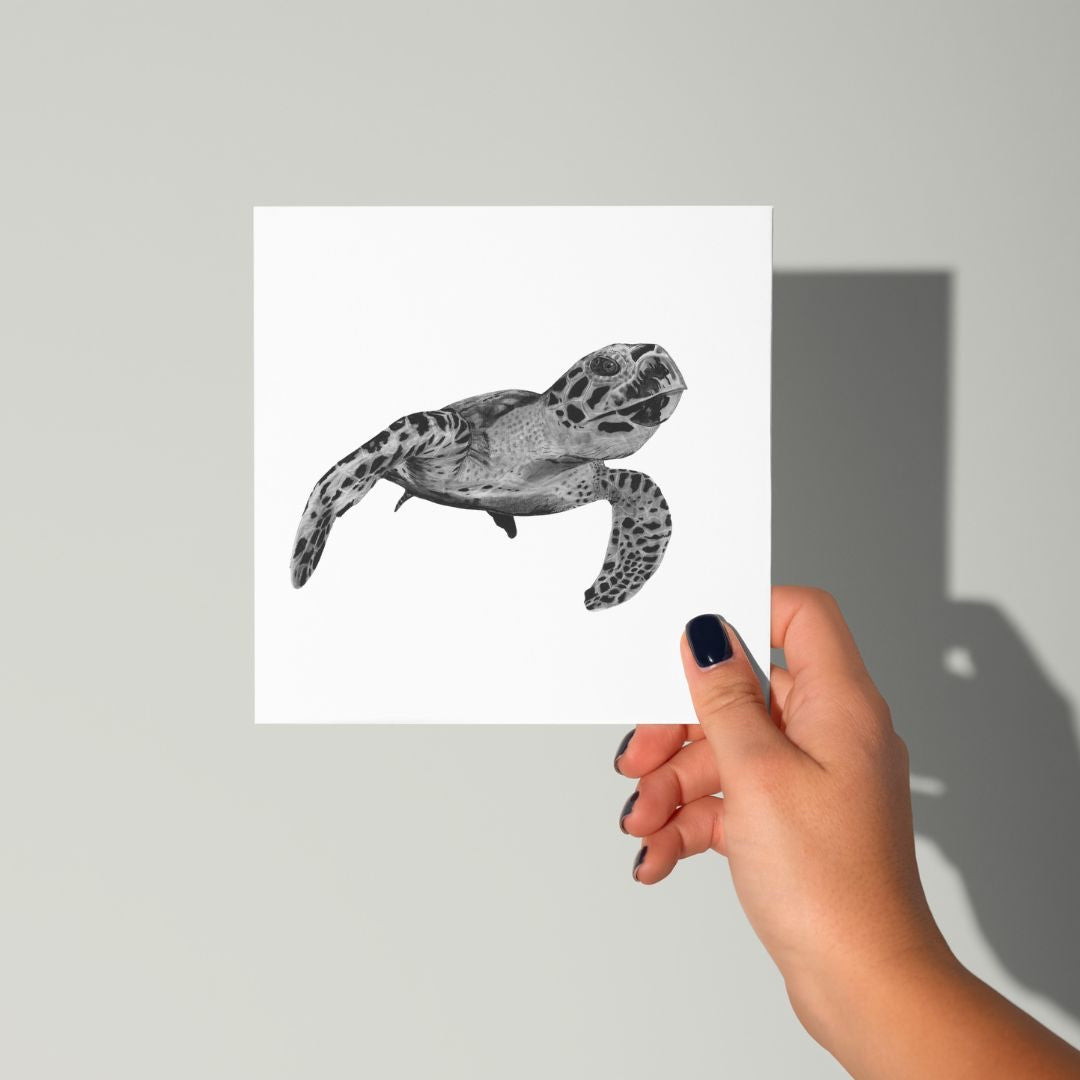 A Hand Drawn Turtle Greeting Card From Libra fine Arts