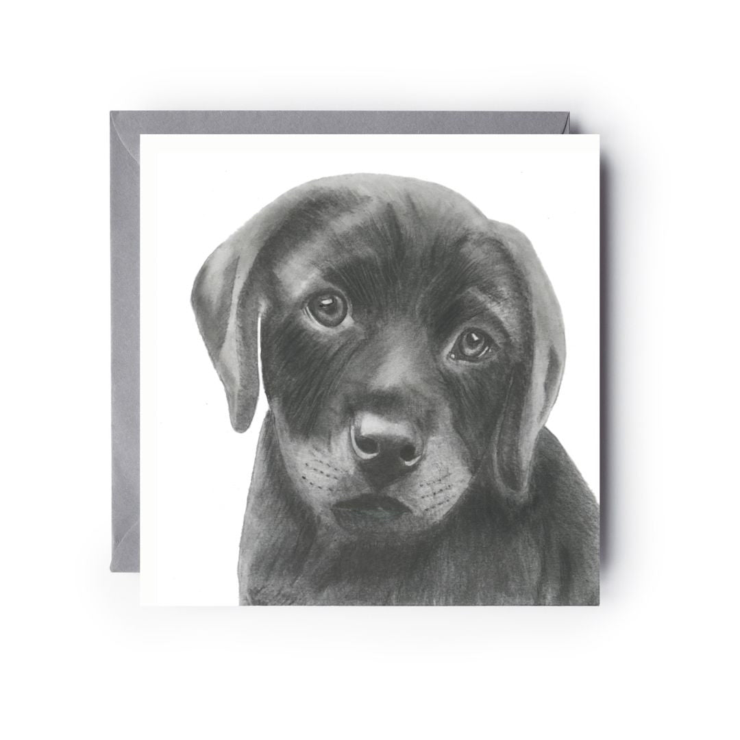 A hand drawn Labrador dog Greeting Card from Libra fine Arts