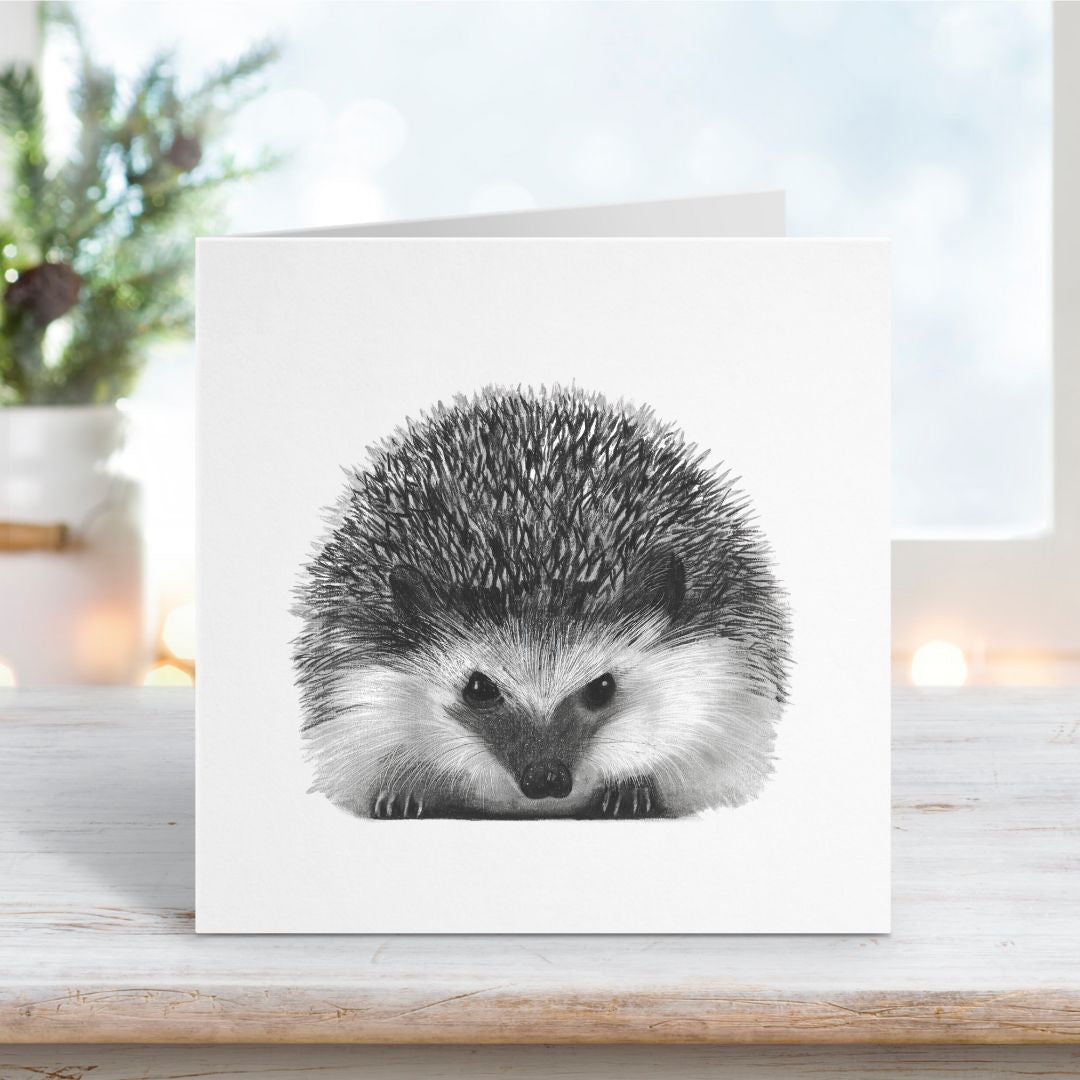 A Hand Drawn Hedgehog Greeting Card From Libra Fine Arts