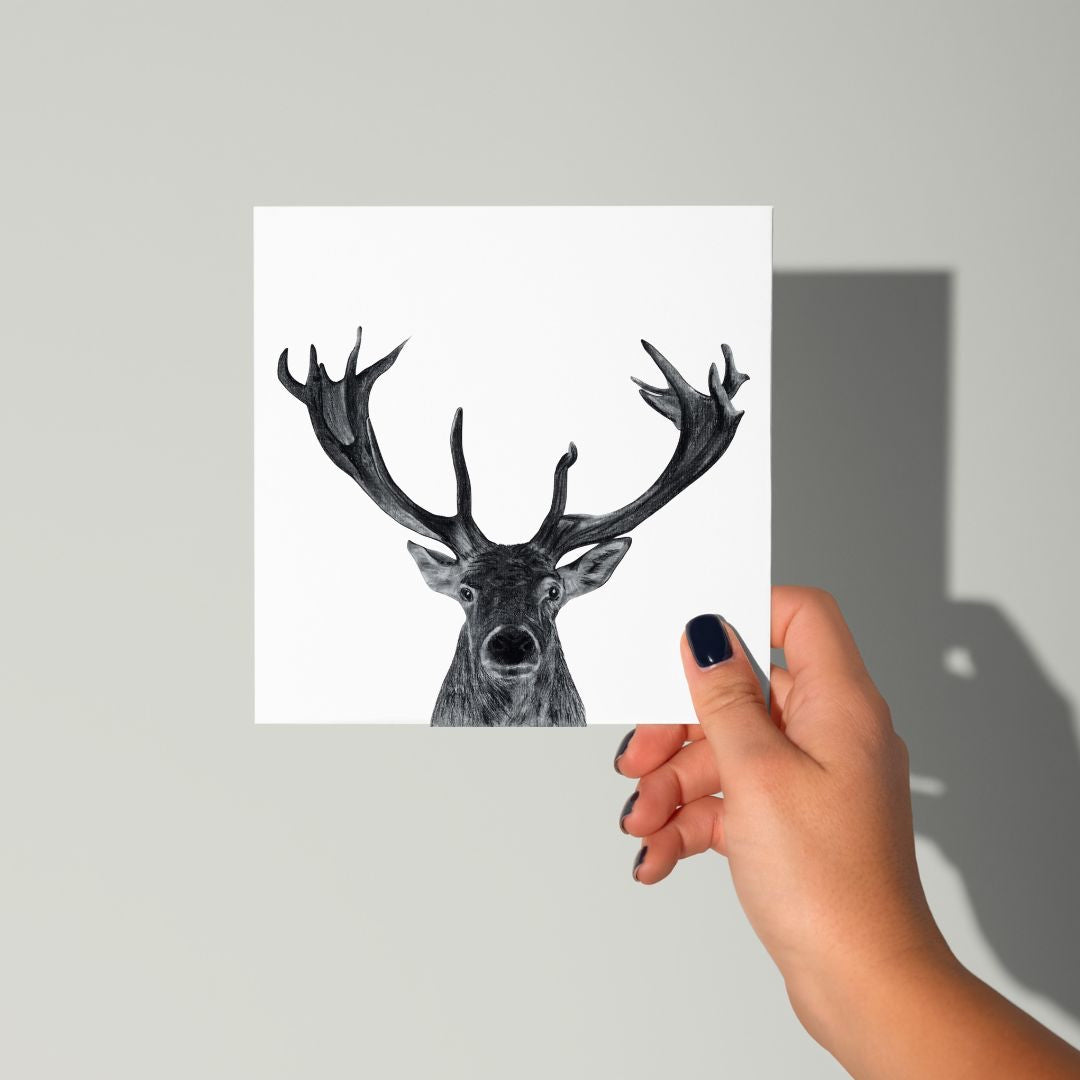 A Hand Drawn Stag Greeting Card From Libra Fine Arts