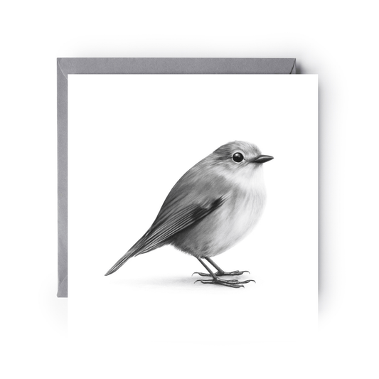 Atlas the Robin Hand Drawn Greeting Card