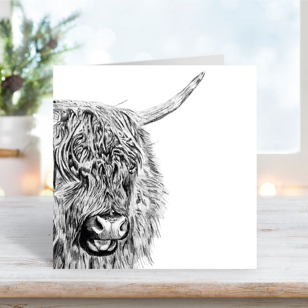 A Hand Drawn Highland Cow Greeting Card From Libra Fine Arts