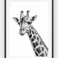 Giraffe Fine Art Print – Elegant Hand-Drawn Wildlife Illustration — rectangular A4/A3 black frame mockup