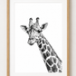 Giraffe Fine Art Print – Elegant Hand-Drawn Wildlife Illustration — rectangular A4/A3 oak frame mockup