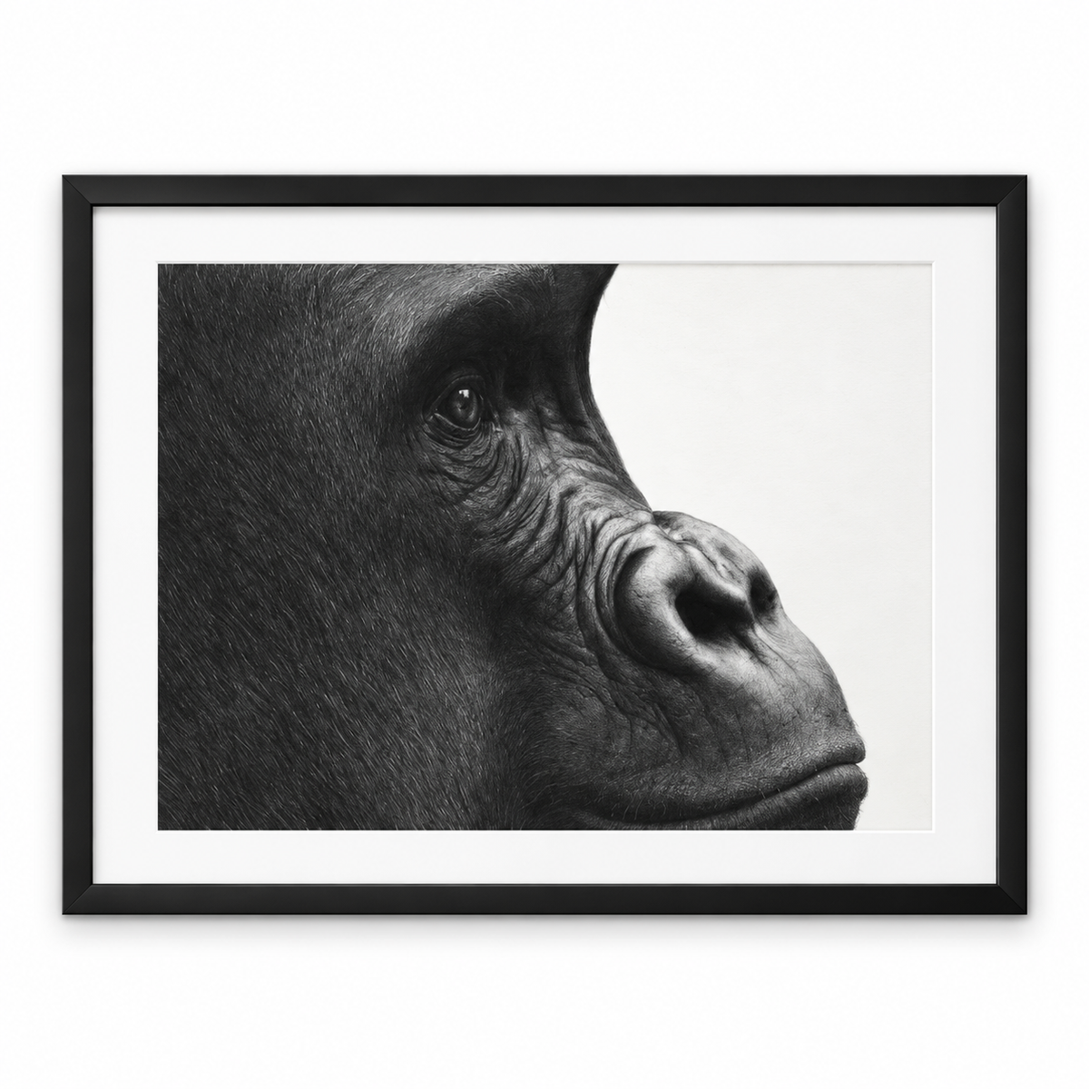 Gorilla Fine Art Print – Hand-Drawn Wildlife Drawing – black frame with white mount