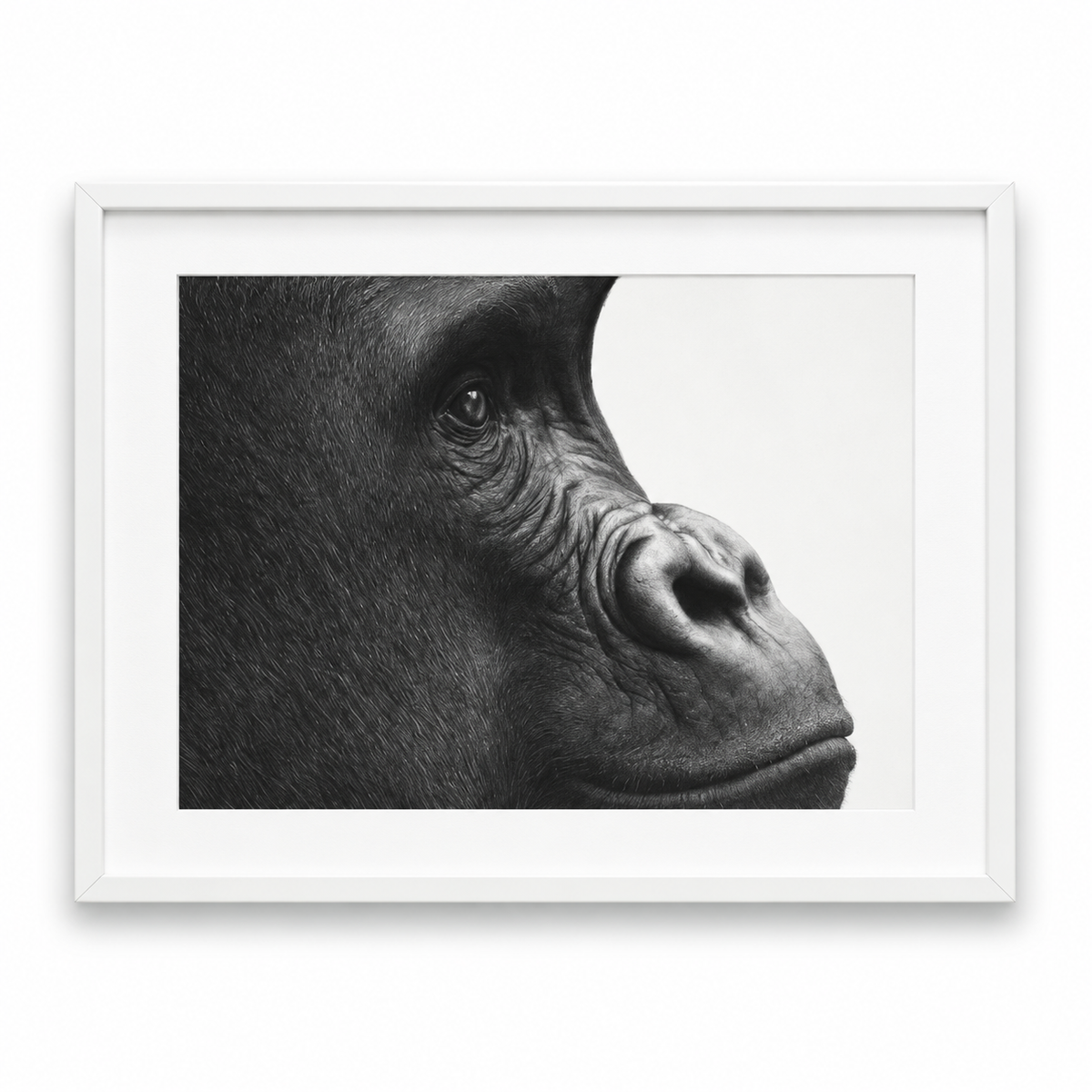 Gorilla Fine Art Print – Hand-Drawn Wildlife Drawing – white frame with white mount