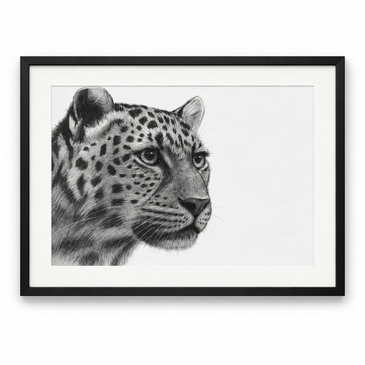 Leopard Fine Art Print – Hand-Drawn Wildlife Illustration – black frame with white mount