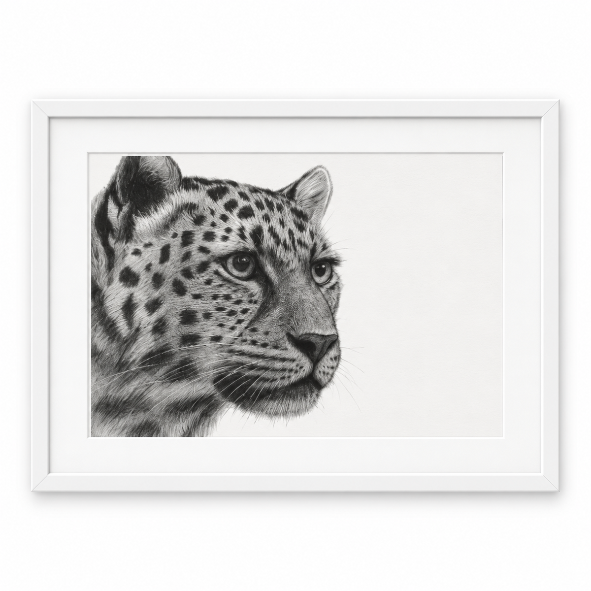 Leopard Fine Art Print – Hand-Drawn Wildlife Illustration – white frame with white mount