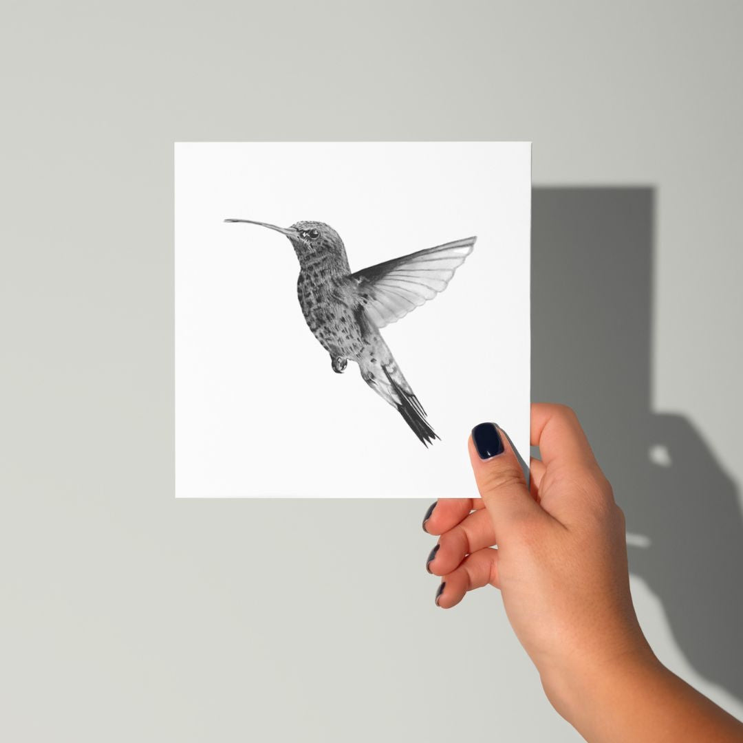 A Hand Drawn Hummingbird Greeting Card From Libra Fine Arts