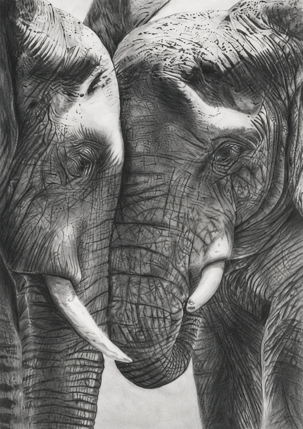 Elephant Tenderness Fine Art Print – Stunning Hand-Drawn Wildlife Artwork for Nature Lovers – unframed artwork