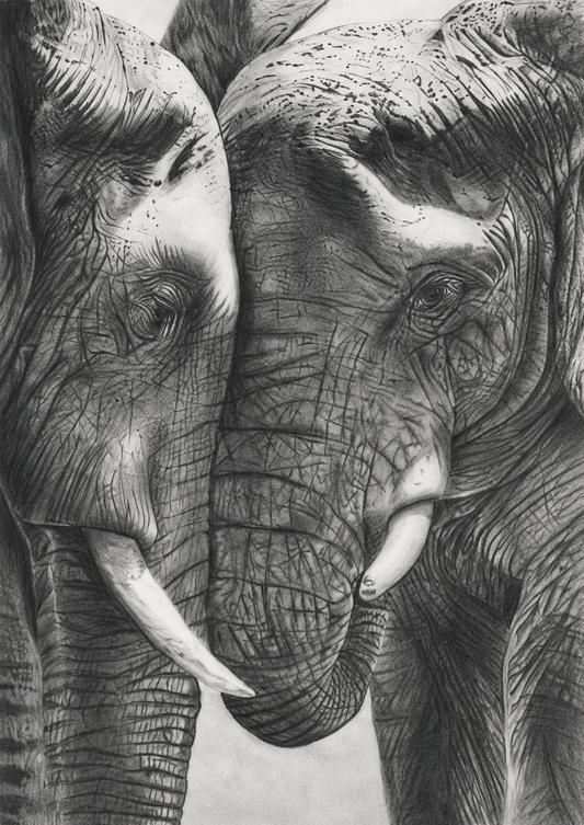 Elephant Tenderness Fine Art Print – Stunning Hand-Drawn Wildlife Artwork for Nature Lovers – unframed artwork