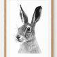Hand-Drawn Hare Fine Art Print - Intricate Wildlife Art for Gifting — rectangular A4/A3 oak frame mockup