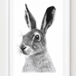 Hand-Drawn Hare Fine Art Print - Intricate Wildlife Art for Gifting — rectangular A4/A3 white frame mockup