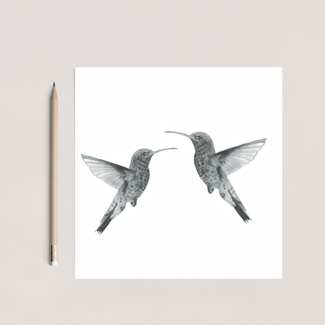 A Hand Drawn Hummingbird Couples Greeting Card From Libra Fine Arts