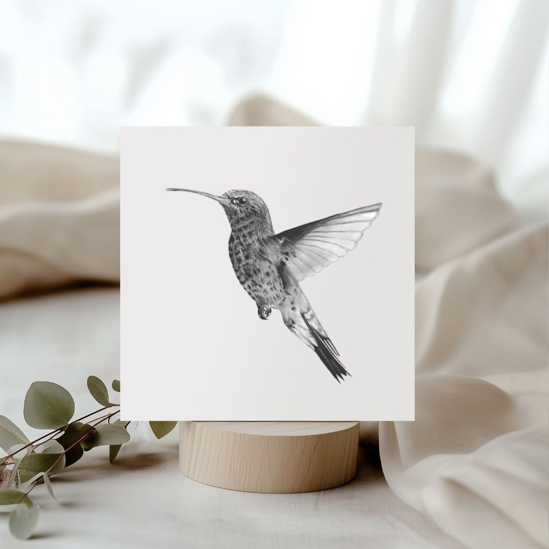 Hand-drawn Adhara the Hummingbird greeting card, featuring delicate and vibrant wildlife art.