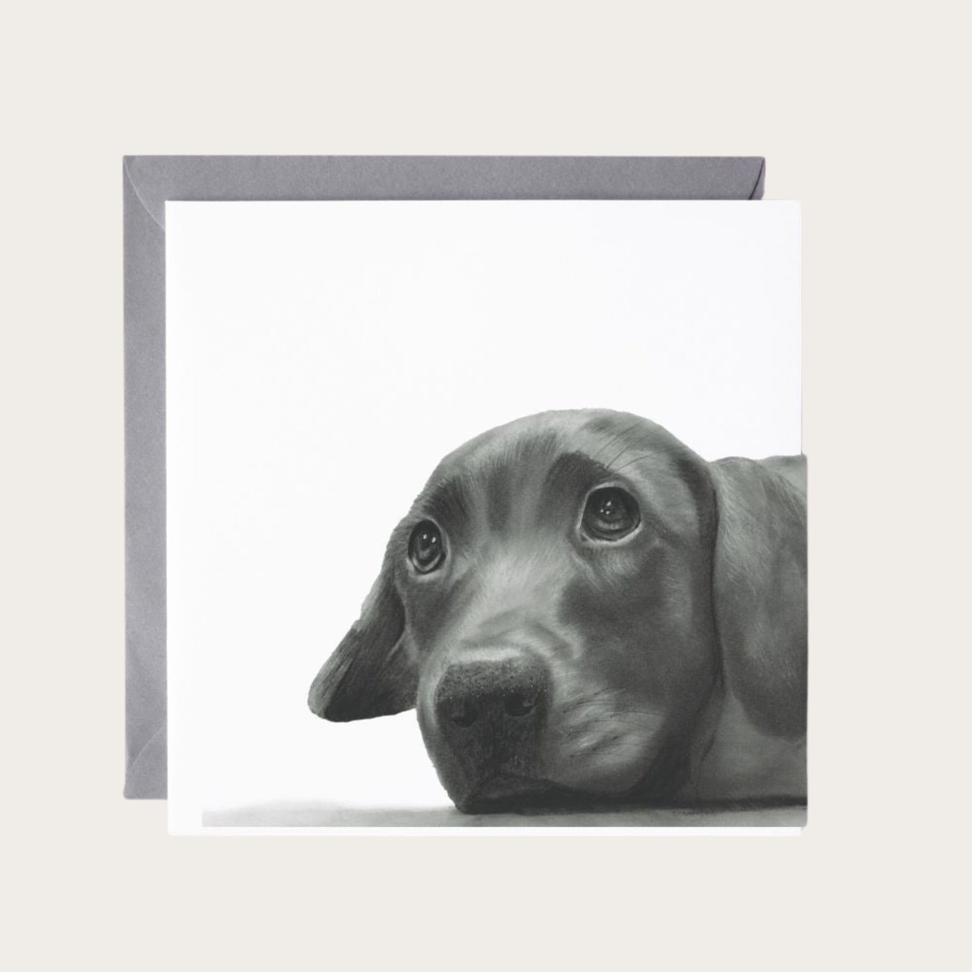 Send a heartwarming message with this Maru the Labrador puppy greeting card. Hand-drawn by Libra Fine Arts, it’s a delightful card for anyone who loves dogs and puppies.
