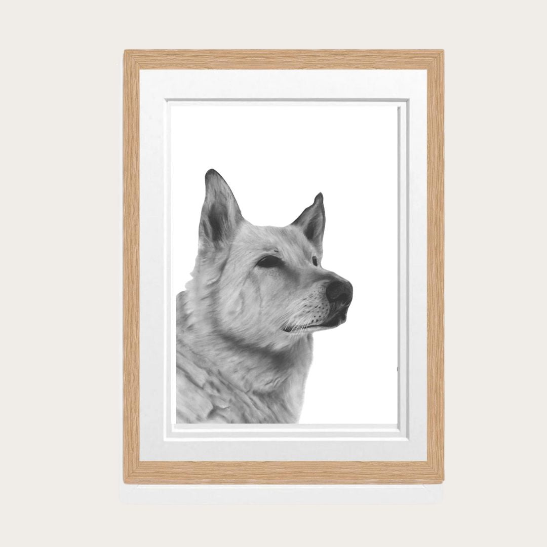 Beautiful hand-drawn Alsatian dog fine art print, framed in a classic oak frame, capturing the loyalty and strength of this beloved breed. Perfect for dog lovers, pet owners, and those looking to add rustic charm to their home decor. An ideal addition to living rooms, offices, or as a thoughtful gift for animal art collectors.