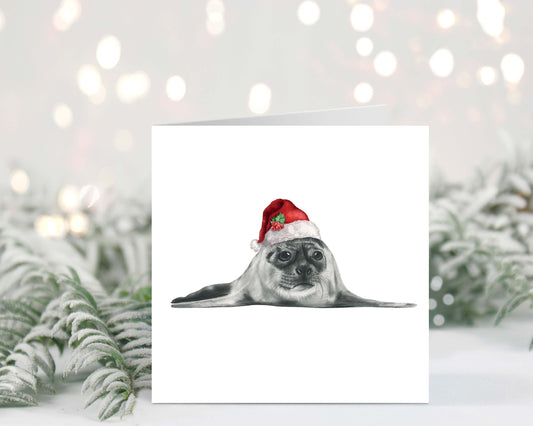 Ara the seal wearing a festive Christmas hat for a joyful holiday greeting card.
