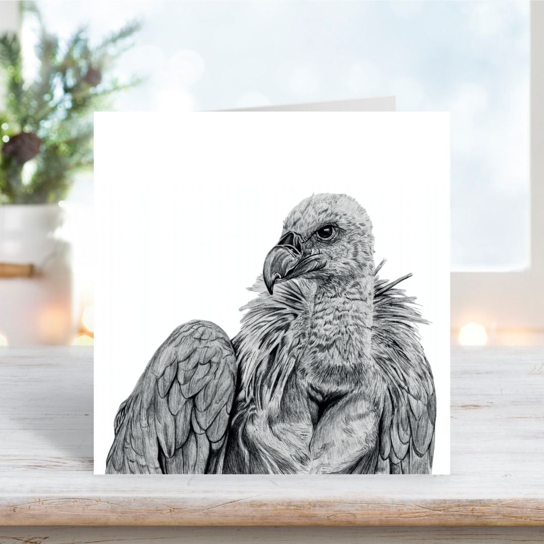 A Hand Drawn Vulture Greeting Card  From Libra Fine Arts