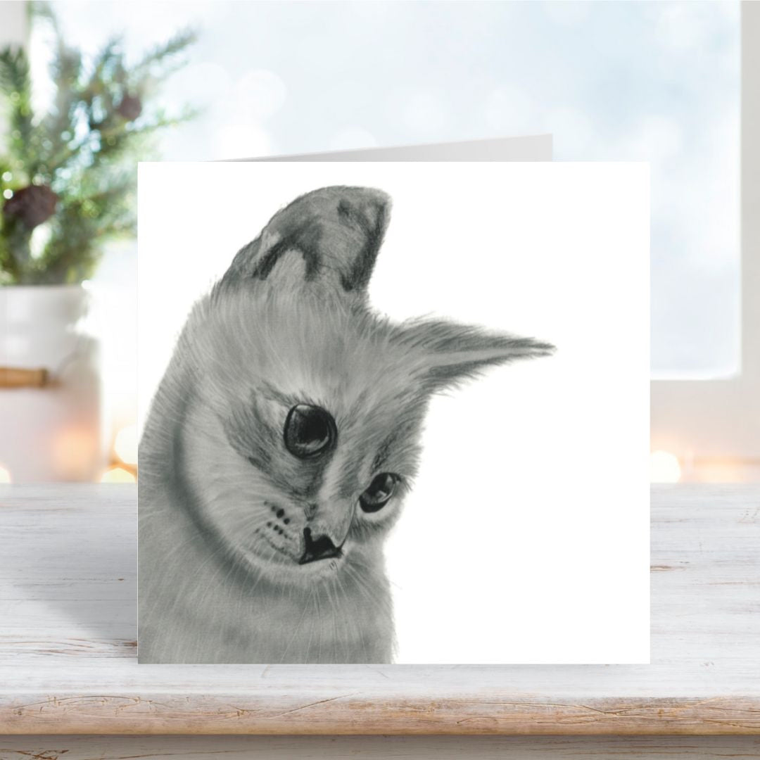 A Hand Drawn  Cat Greeting Card from Libra Fine Arts
