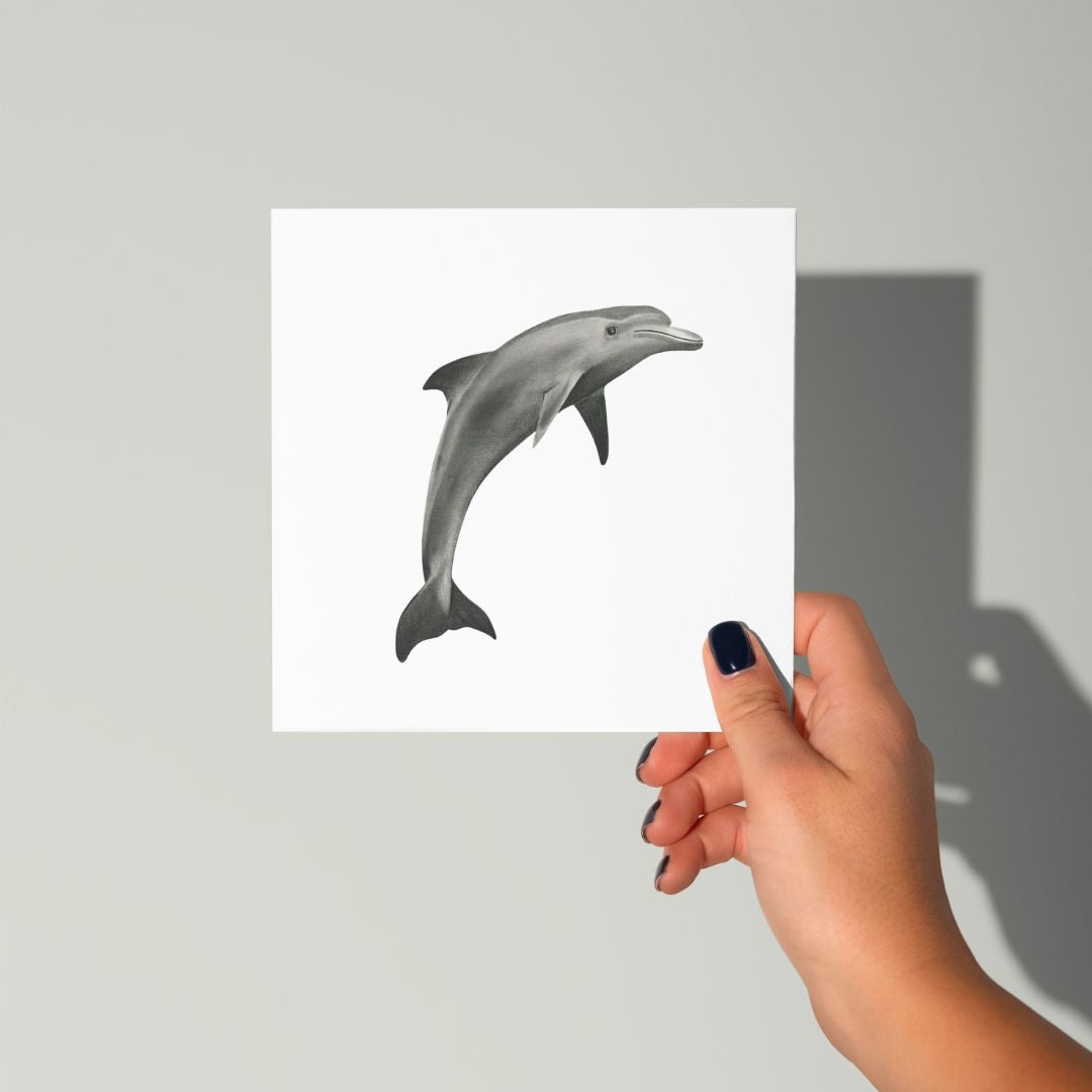 A Hand Drawn Dolphin Greeting Card From Libra Fine Arts