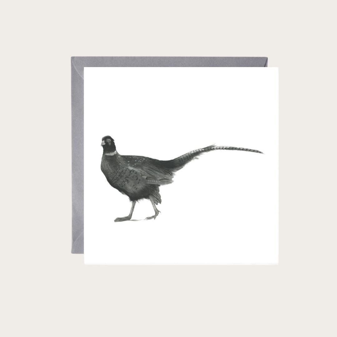 Cetus the Pheasant Hand-Drawn Greeting Card from Libra Fine Arts, featuring a highly detailed black and white illustration of a majestic pheasant."