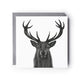 Elegant wildlife greeting card with a hand-drawn stag, perfect for birthdays or special occasions.