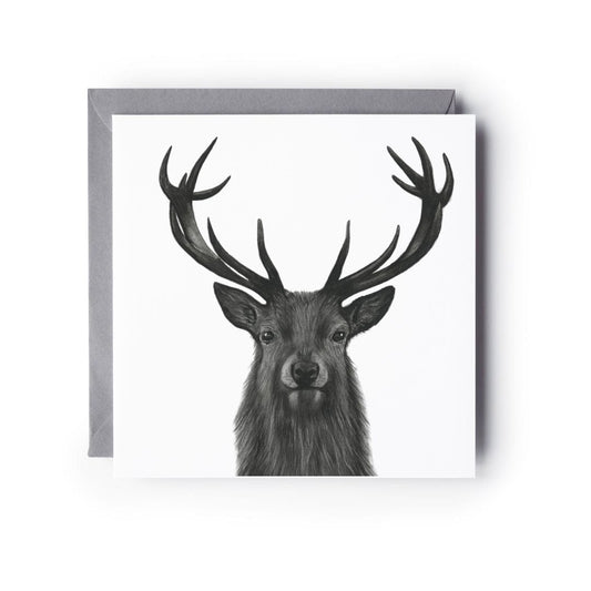 Elegant wildlife greeting card with a hand-drawn stag, perfect for birthdays or special occasions.