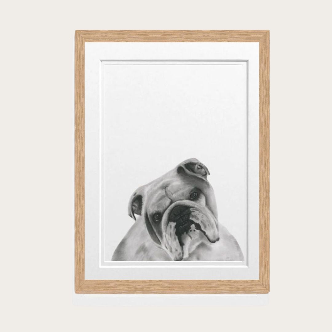 Bulldog Fine Art Print in Oak Frame – Hand-Drawn Dog Illustration by Libra Fine Art