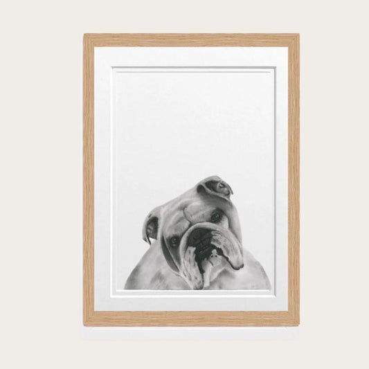 Bulldog Fine Art Print in Oak Frame – Hand-Drawn Dog Illustration by Libra Fine Art