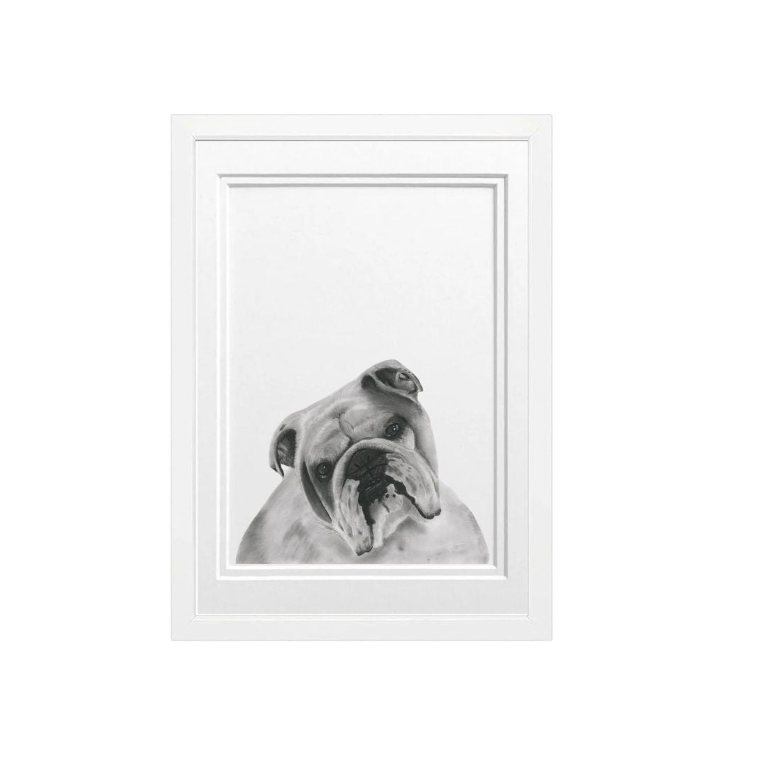 Bulldog Fine Art Print by Libra Fine Arts in a sleek white frame, featuring a hand-drawn illustration of a charming bulldog. The print captures the lovable, rugged features of the breed, perfect for dog lovers or as a stylish addition to any home decor. Ideal for a modern, animal-themed space