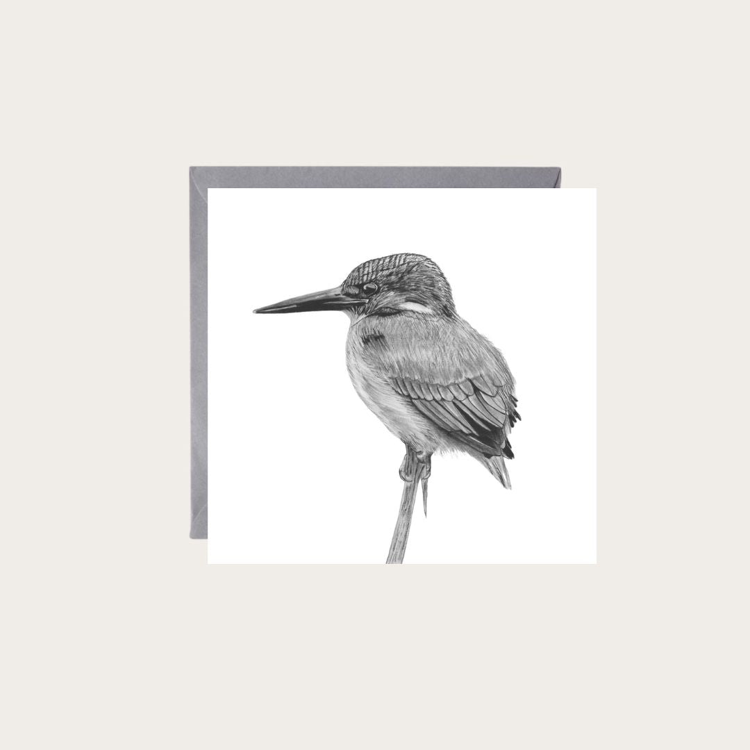 Beautiful hand-drawn artwork of Delpheus the Kingfisher on a greeting card, ideal for bird enthusiasts.