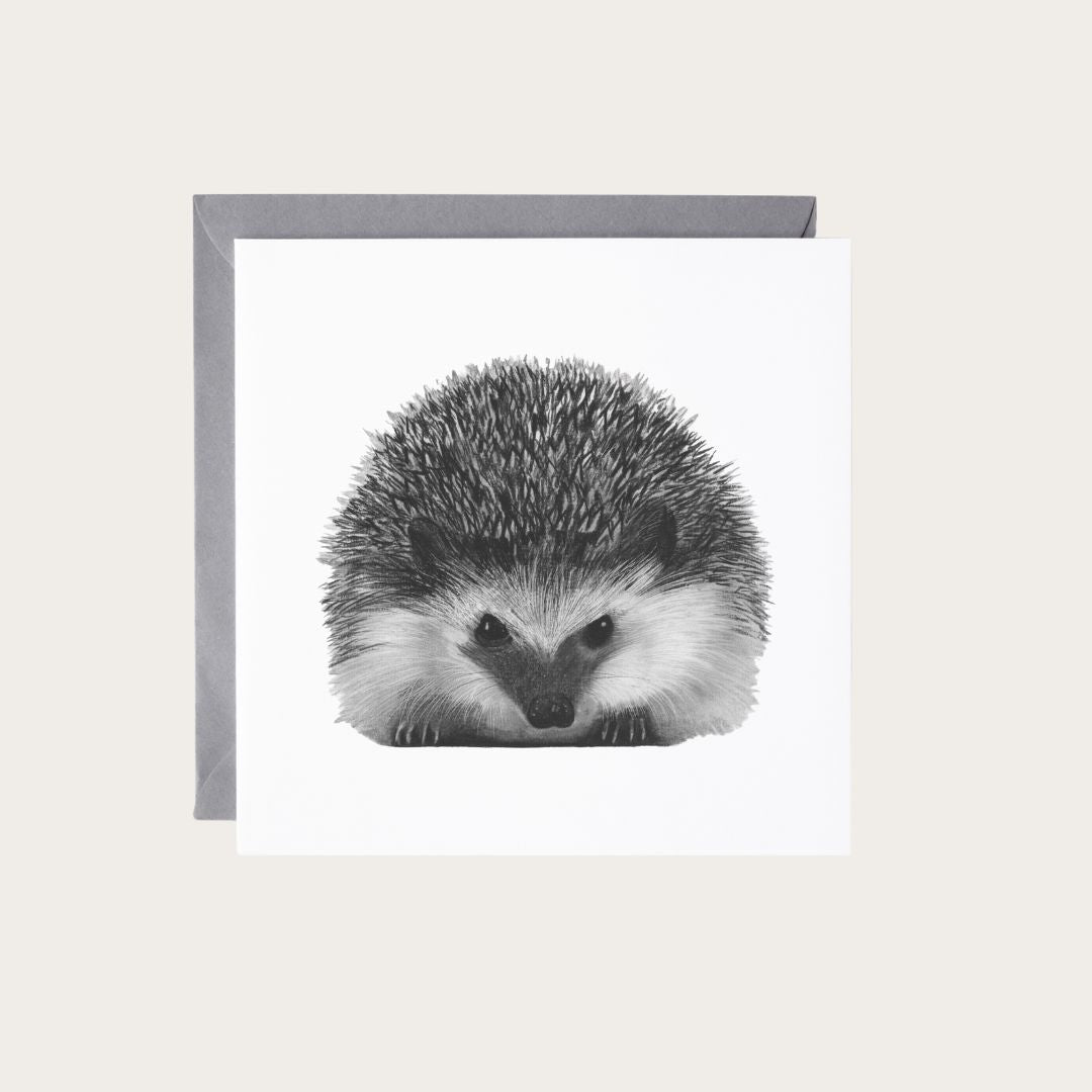 Beautiful hand-drawn artwork of Persei the Hedgehog on a greeting card, ideal for wildlife and nature fans.