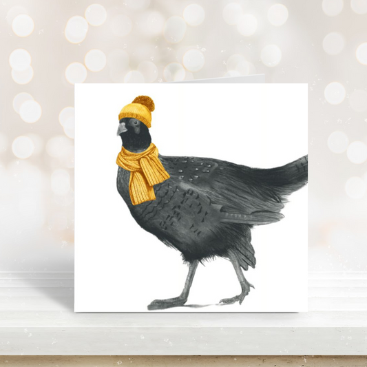 Winter pheasant illustration wrapped in a scarf on a seasonal greeting card.

