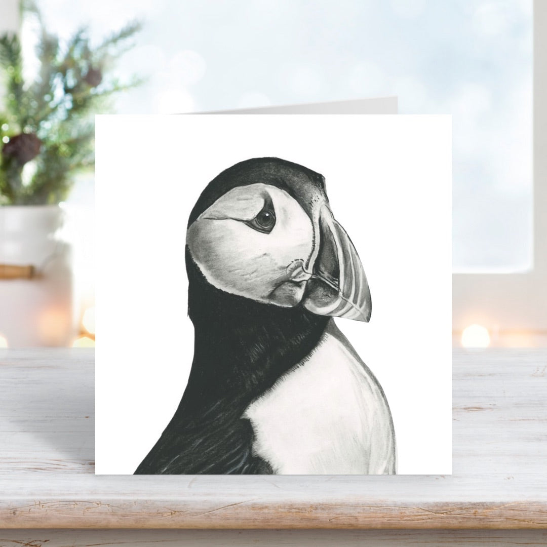 A Hand Drawn Puffin Greeting Card From Libra Fine Arts
