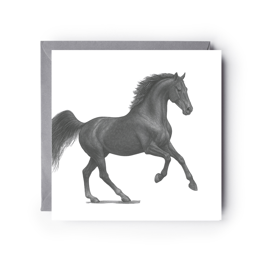 Greeting card with a black and white illustration of a horse on a white background