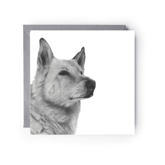  A Hand Drawn Alsatian Dog Greeting Card From Libra Fine Arts