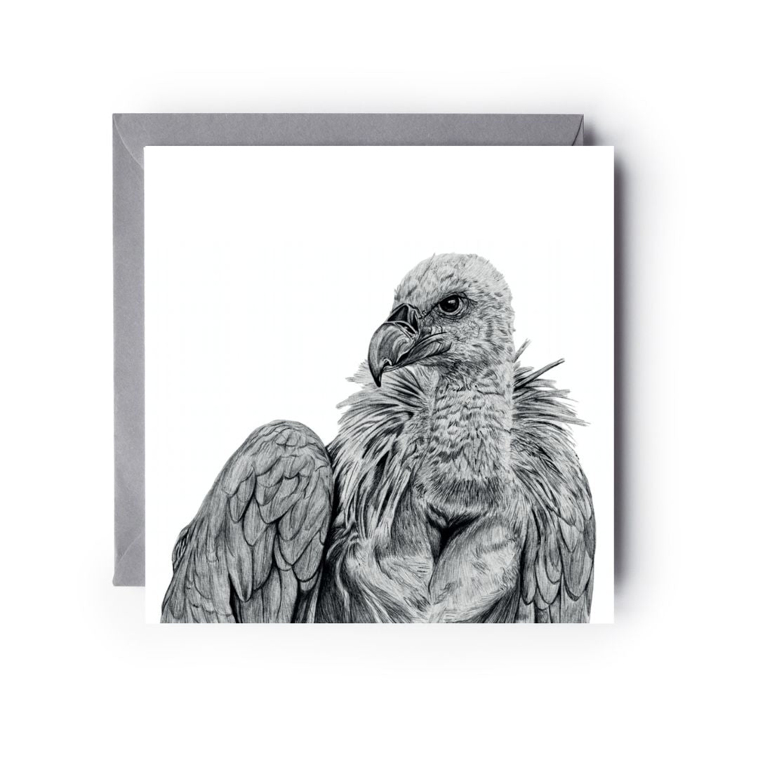 A Hand Drawn Vulture Greeting Card From Libra Fine Arts