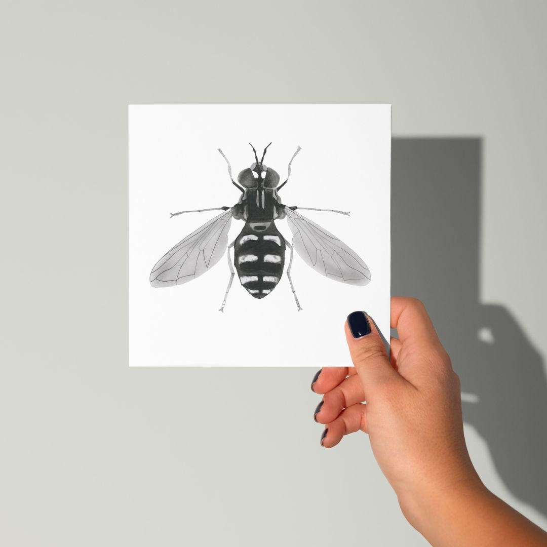 A Hand Drawn Hover fly Greeting Card From Libra Fine arts
