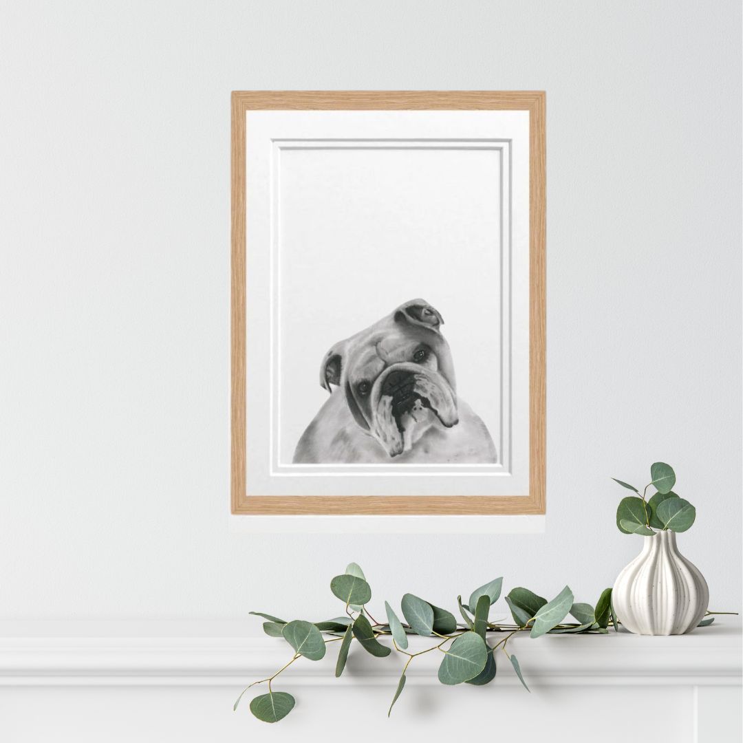 Show your love for Bulldogs with this beautifully framed fine art print. The oak frame highlights the detailed hand-drawn artwork, making it a perfect addition to any dog lover’s collection