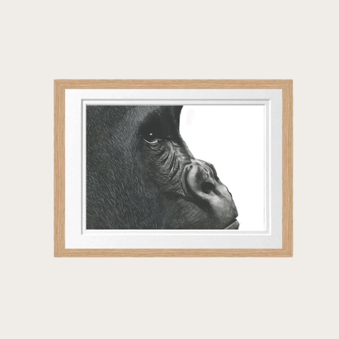 Hand-drawn gorilla fine art print in an oak frame, showcasing detailed wildlife drawing.