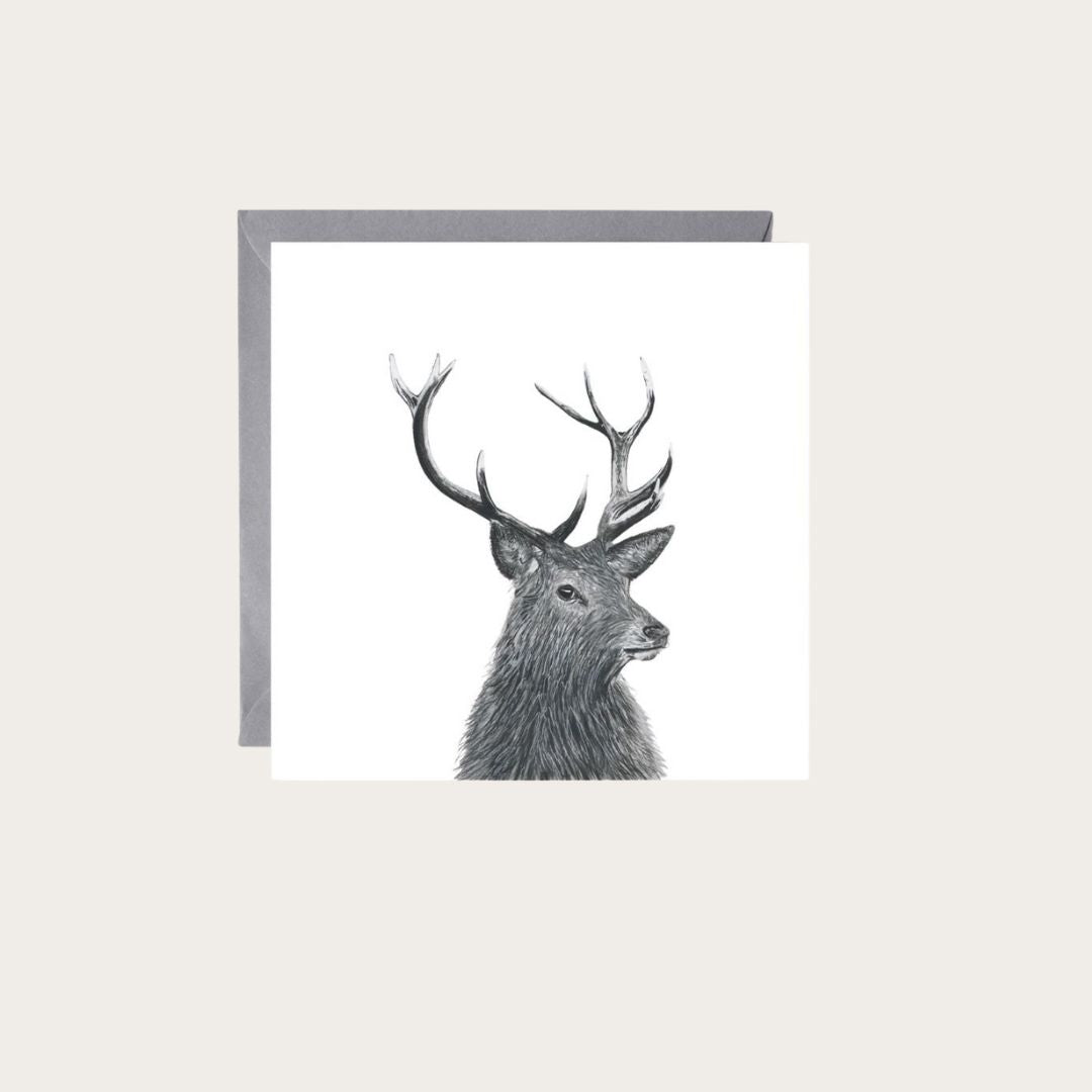 A beautifully hand-illustrated greeting card featuring Hadar the stag, perfect for sending heartfelt messages to nature enthusiasts and wildlife admirers. Available at Libra Fine Arts.