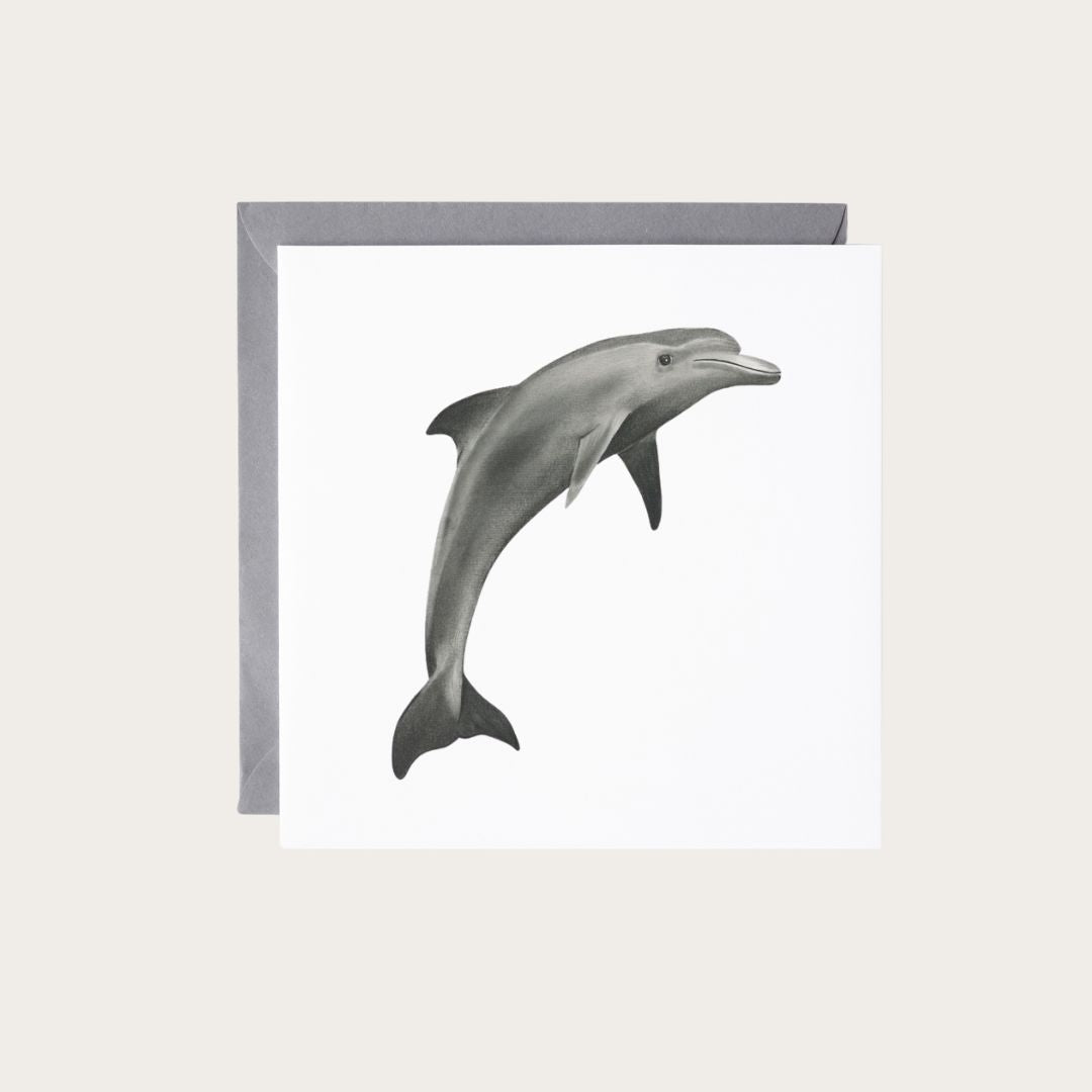 An exquisite greeting card showcasing a detailed illustration of Aries the Dolphin, making it a unique choice for celebrating special occasions with marine art aficionados. Printed on high-quality card stock with an embossed envelope, available at Libra Fine Arts