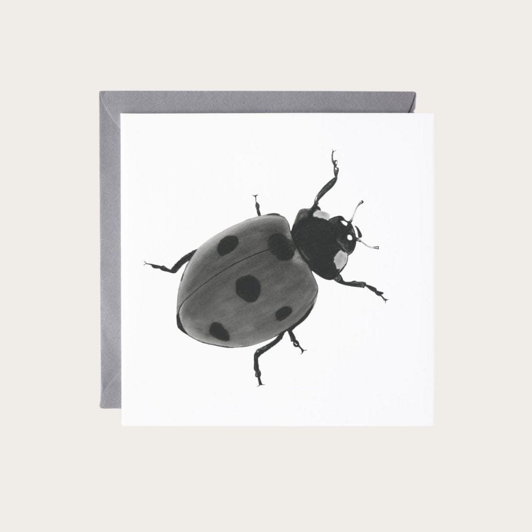 Seven Spot Ladybird hand-drawn greeting card, ideal for wildlife lovers