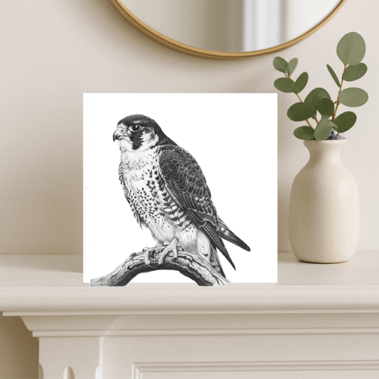 Peregrine Falcon Hand-Drawn Greeting Card
