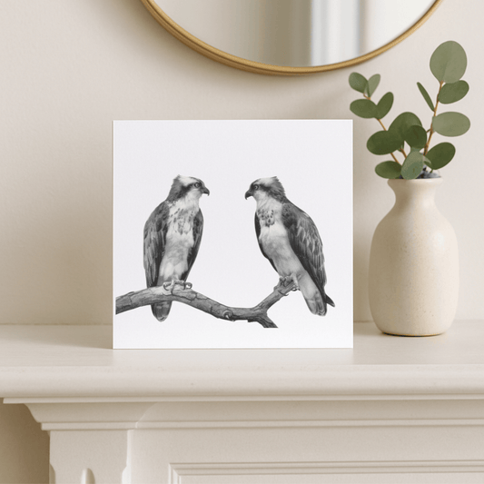 Osprey Hand-Drawn Greeting Card