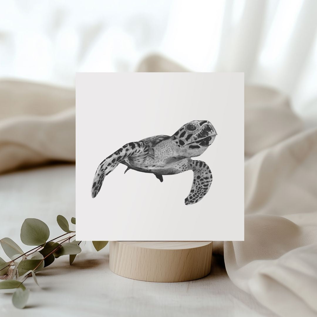 Hand-drawn Heze the Turtle greeting card, featuring intricate marine wildlife art.