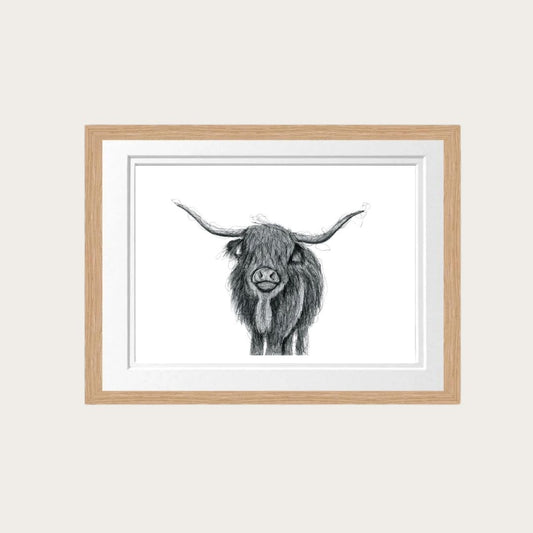 Hand-drawn Highland cow fine art print, showcasing rustic wildlife illustration.