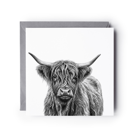 A square greeting card with a detailed black and white sketch of a Highland cow, shown with a gray envelope behind it on a white background.